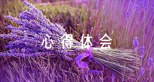 如何通过模拟比赛提升分卫实战经验_1